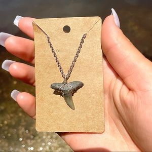 Fossilized Lemon Sharks Tooth Necklace